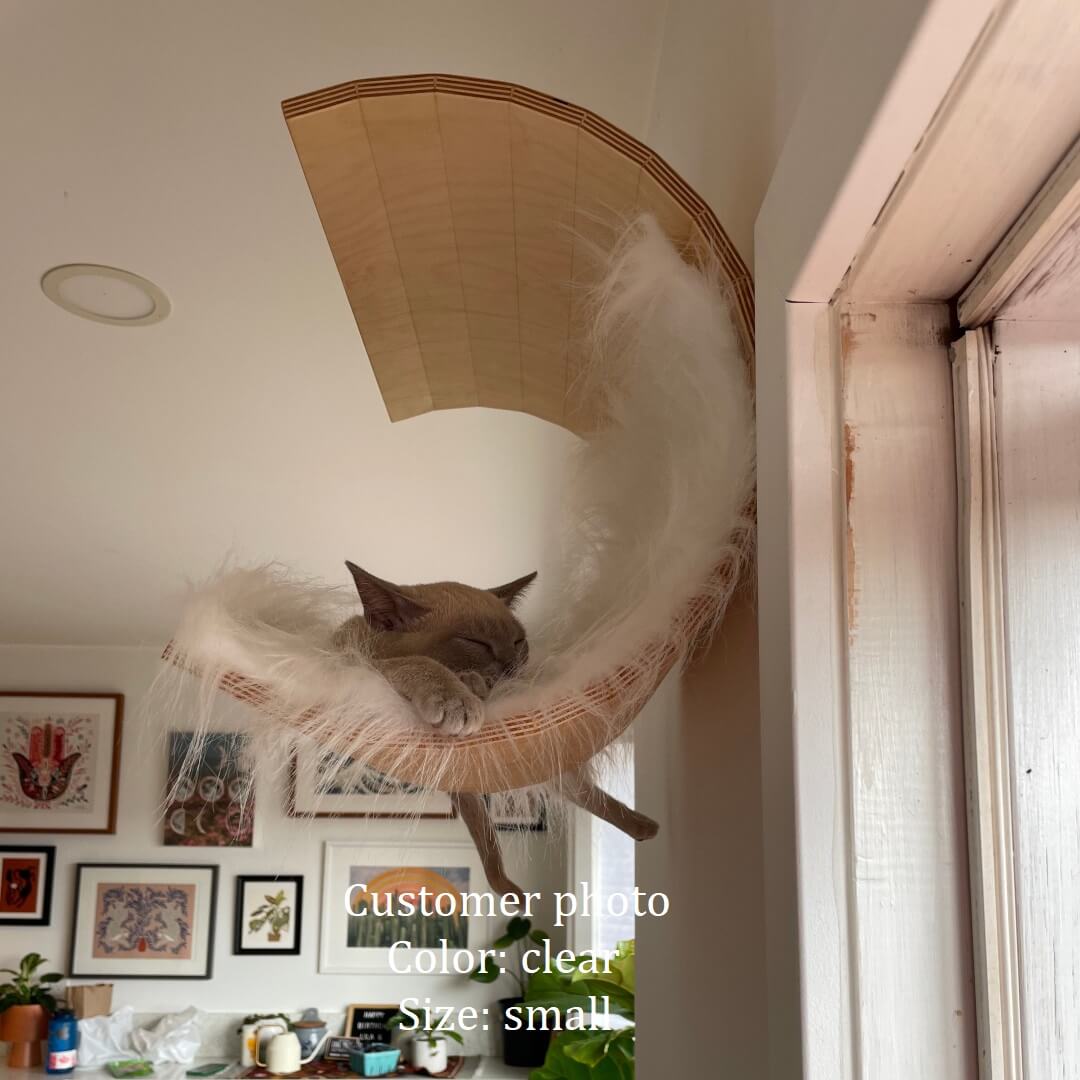 Wall cat condo. Wall cat house. Wall cat cave. Modern cat ho Inspire