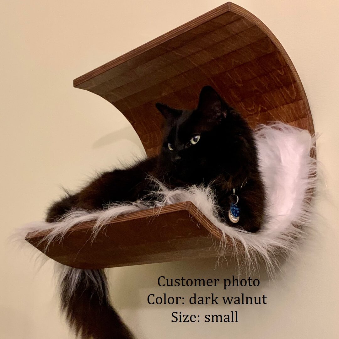 Wall cat condo. Wall cat house. Wall cat cave. Modern cat ho Inspire