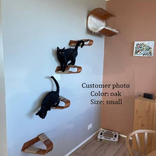 Wall cat condo. Wall cat house. Wall cat cave. Modern cat ho Inspire