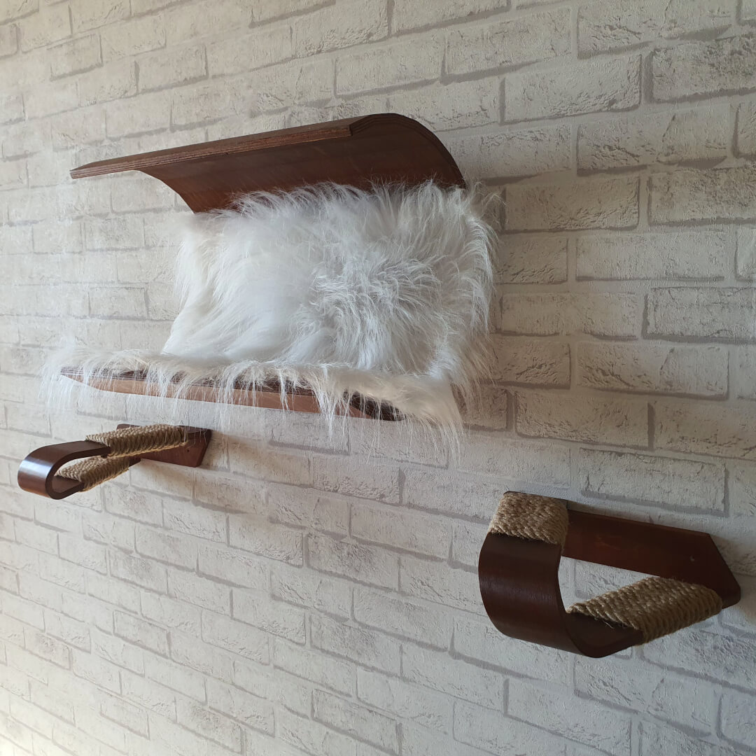 Wall cat condo. Wall cat house. Wall cat cave. Modern cat ho Inspire