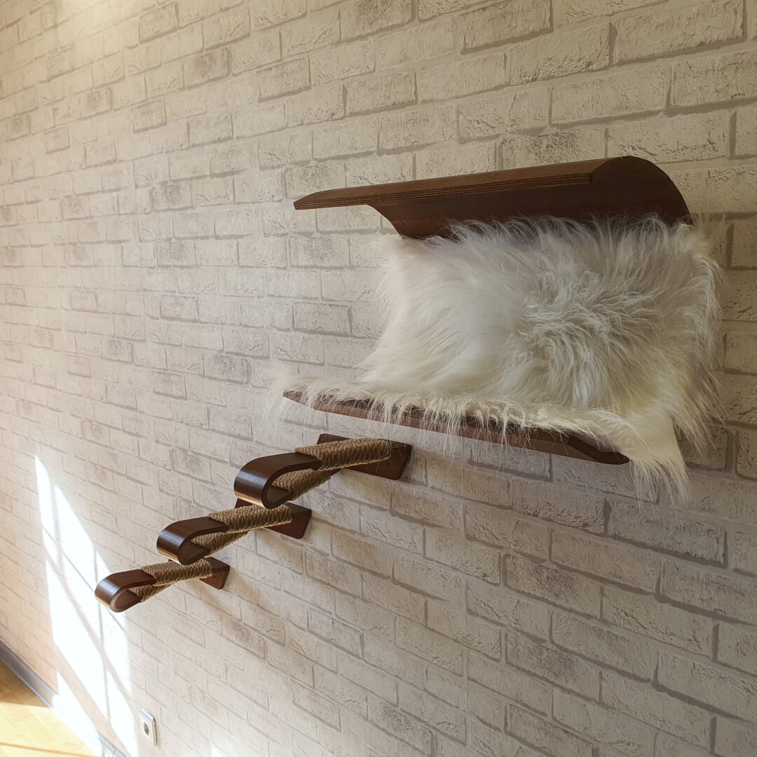 Wall cat condo. Wall cat house. Wall cat cave. Modern cat ho Inspire