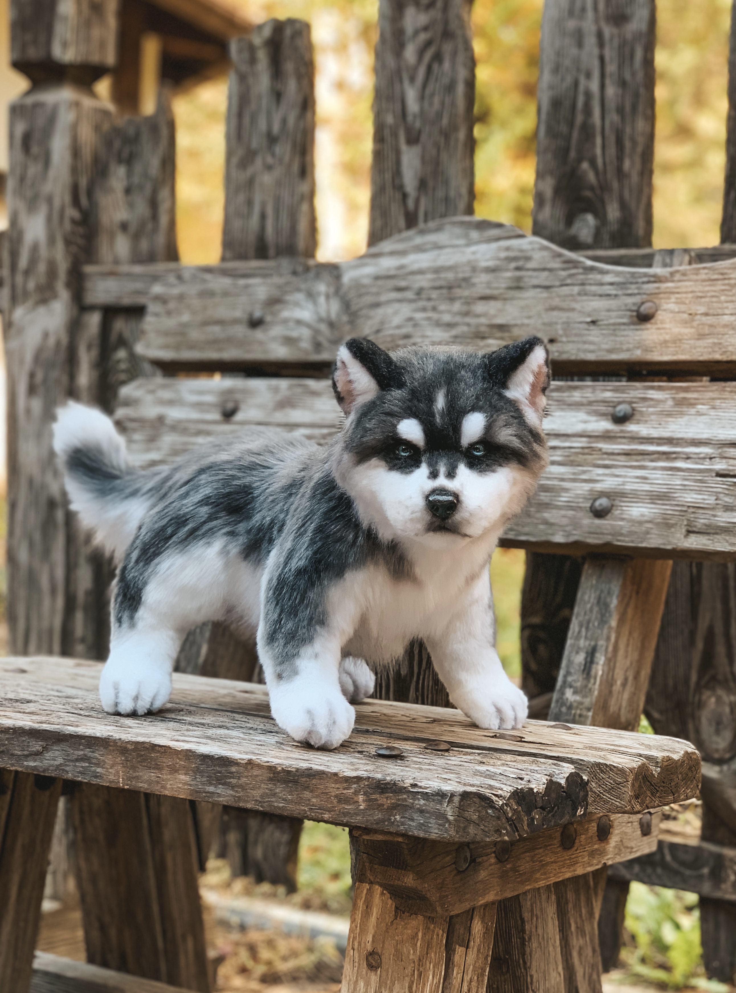Husky puppy handmade collectible realistic dog toy inspire uplift