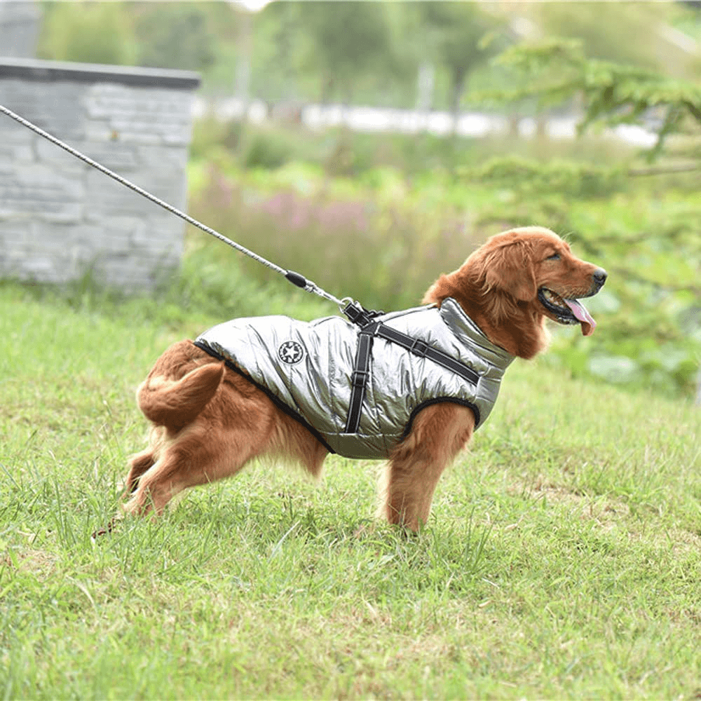 Cold Weather Harness Dog Jacket Inspire Uplift