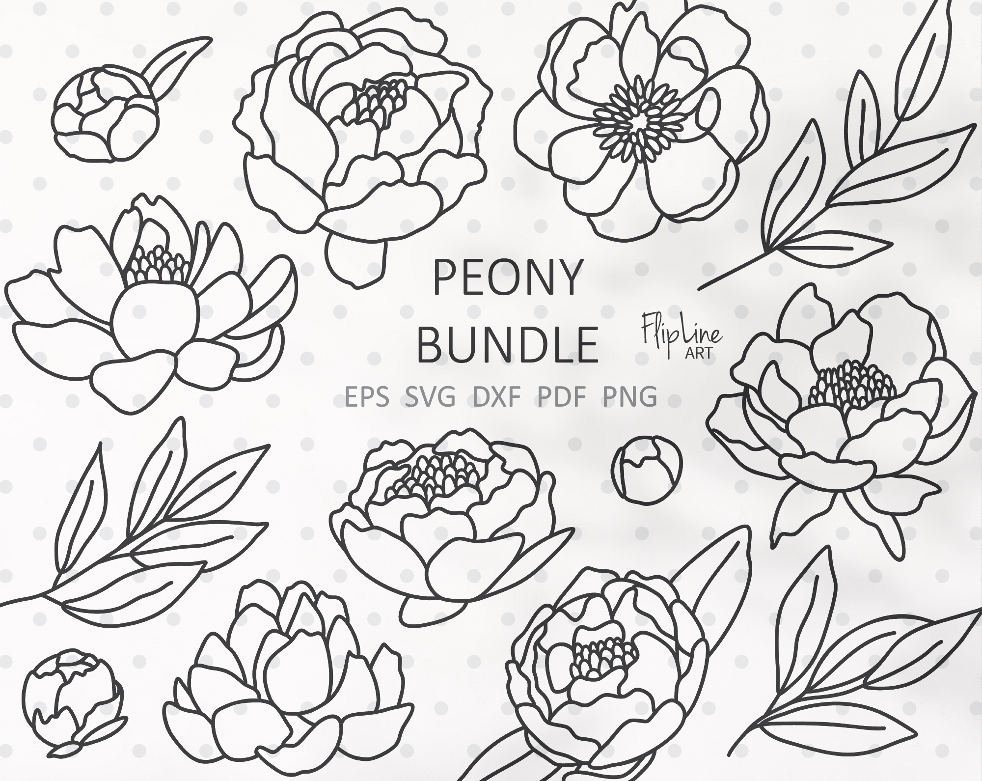 Peony Svg bundle Flower garden svg hand drawn peony plant fl Inspire