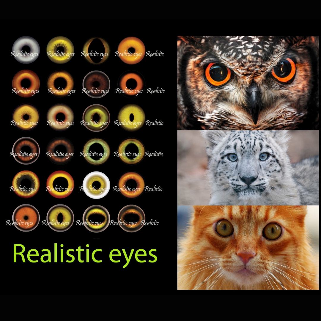 Eyes for Printing Realistic Irises, Cat Eyes, Cat Irises, Re Inspire