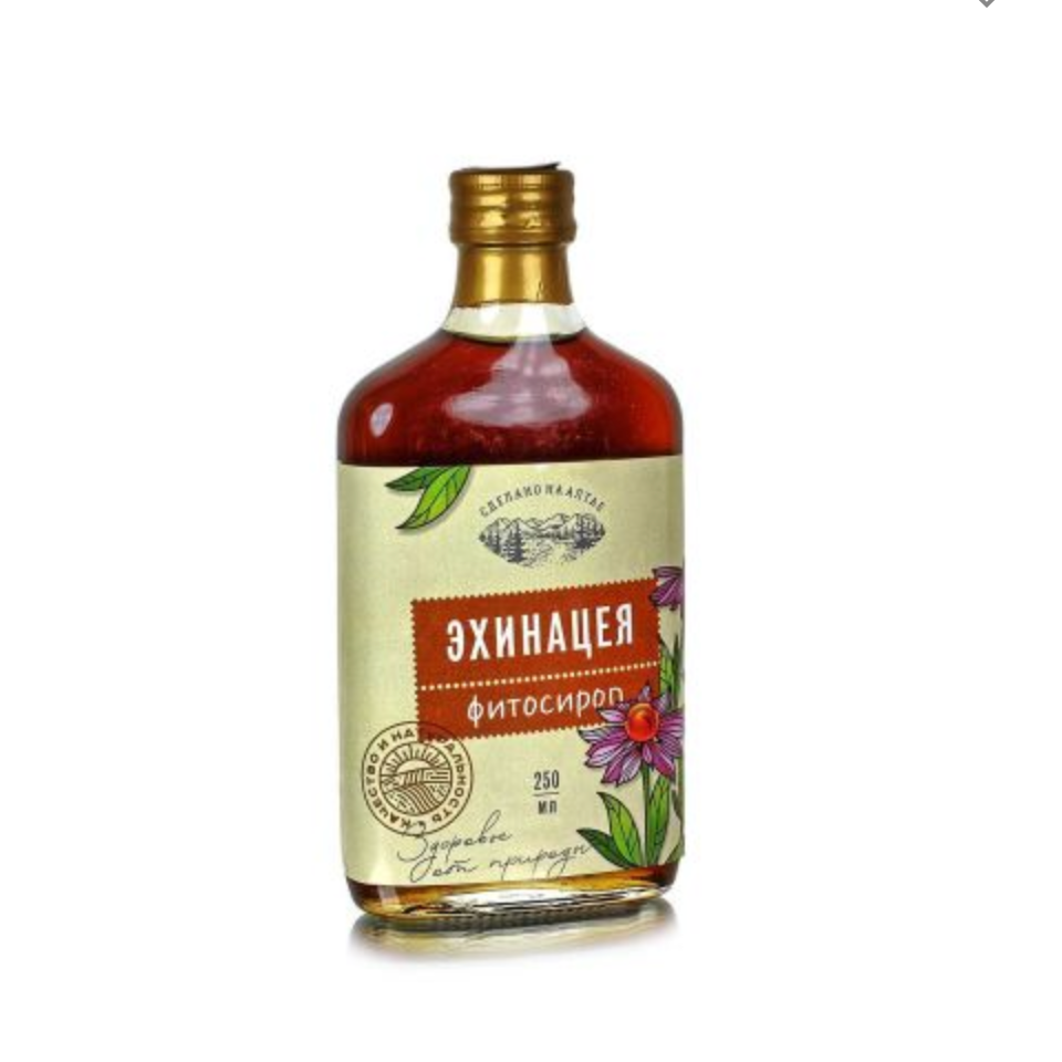 Echinacea syrup, 250ml / immunity syrup / syrup for children Inspire