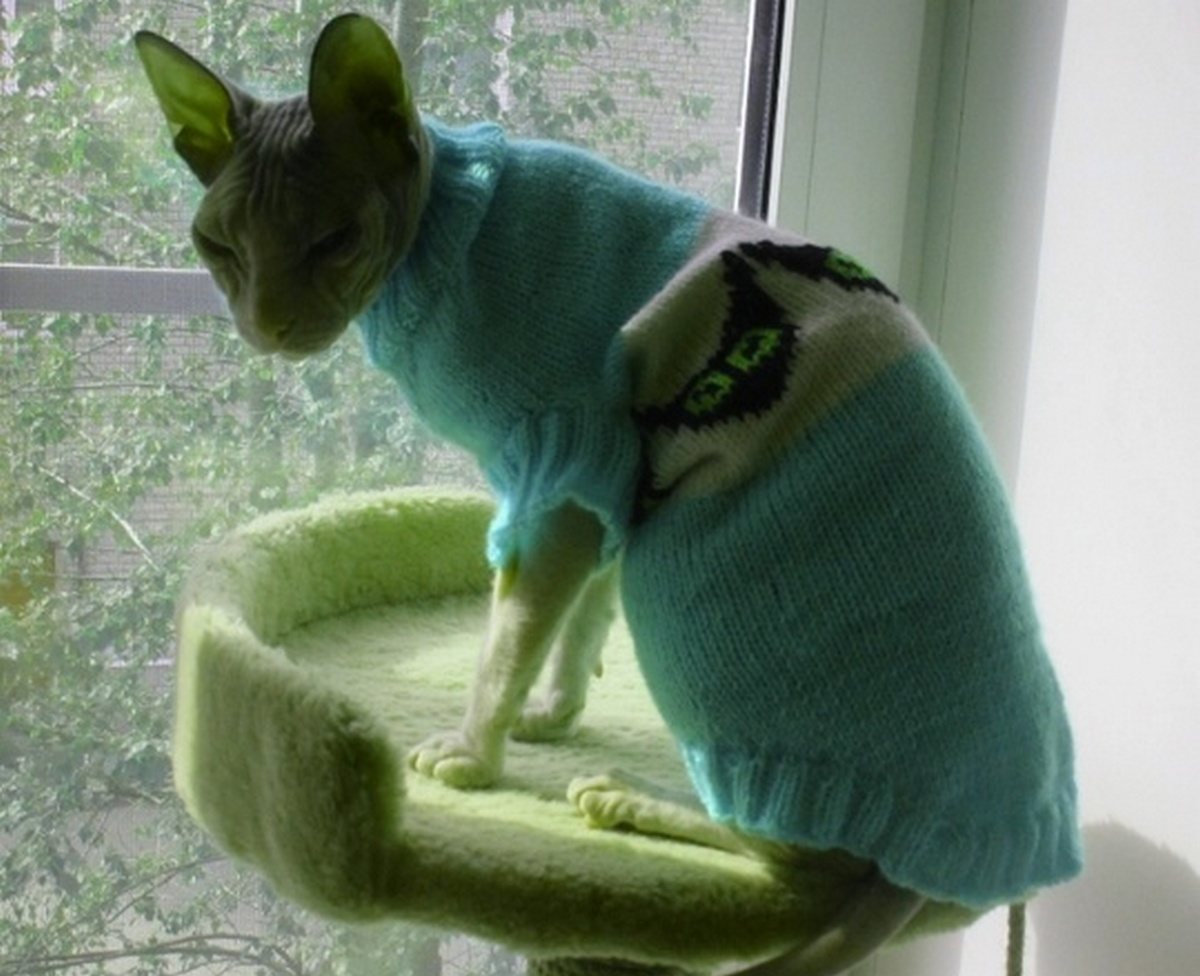 cat clothes,sphynx clothes,cat sweater,sphynx sweater Inspire Uplift