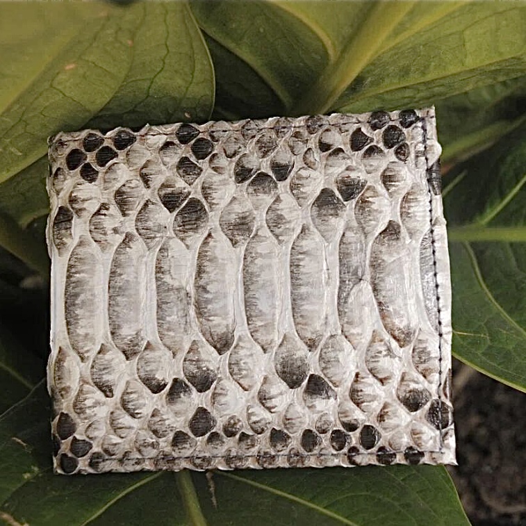 Genuine Python skin | Inspire Uplift