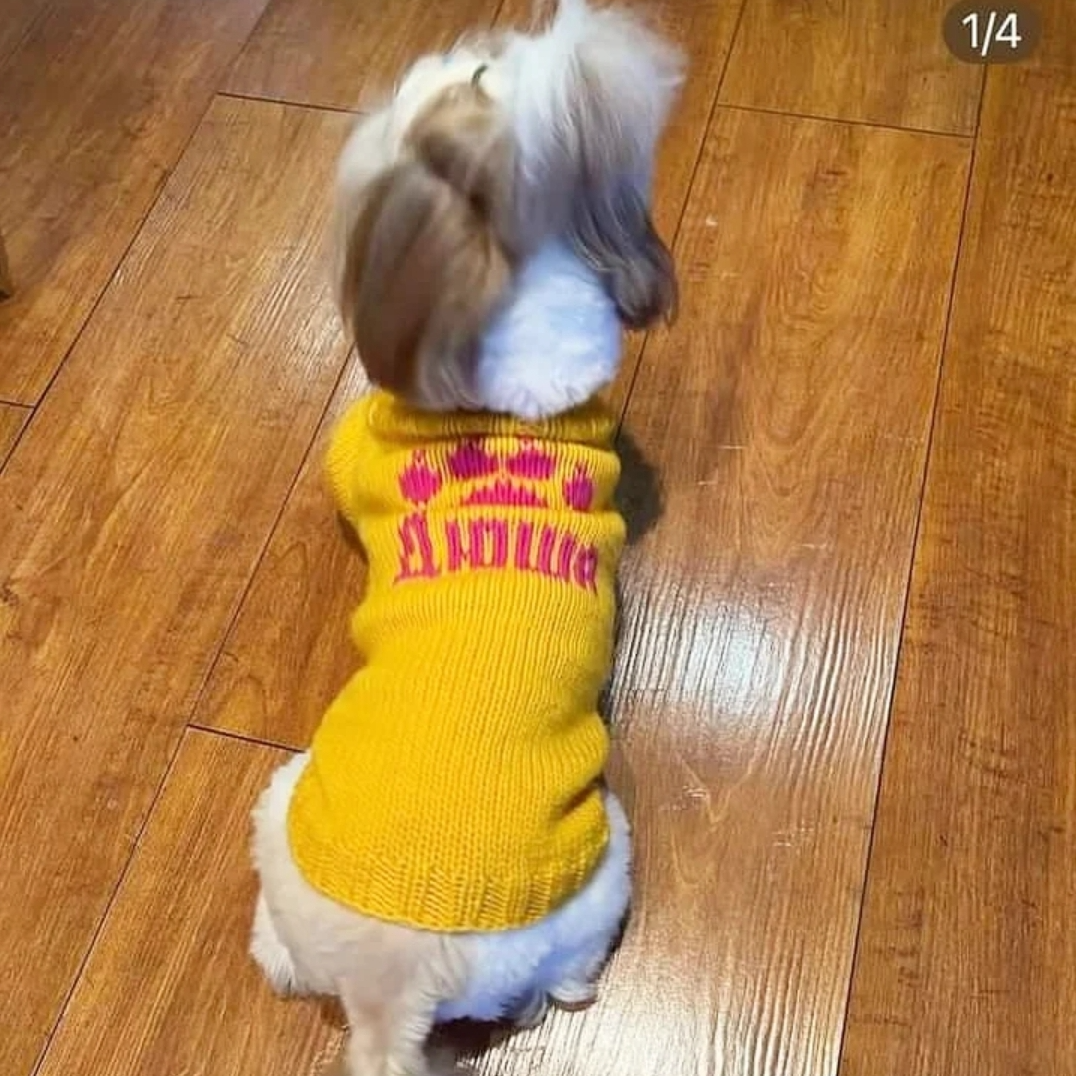 Personalized dog sweater for a small dog. Puppy sweater XXS. Inspire