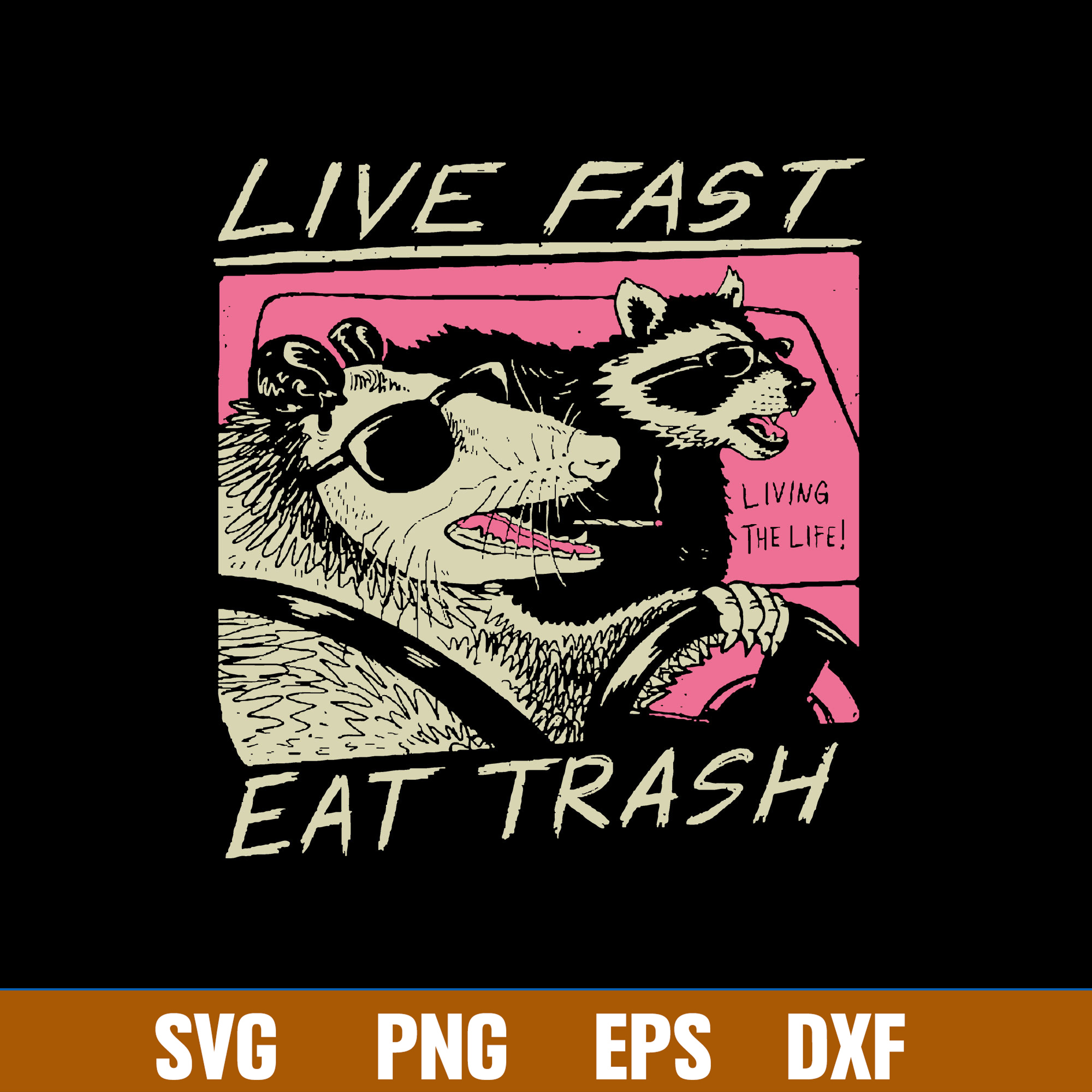 Live Fast Eat Trash Svg, Thrash Panda Svg, Funny Animal Svg, Inspire