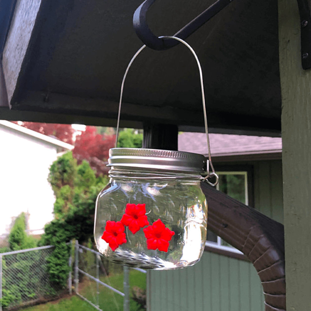 3 Flowers Port Hummingbird Feeder Jar Inspire Uplift