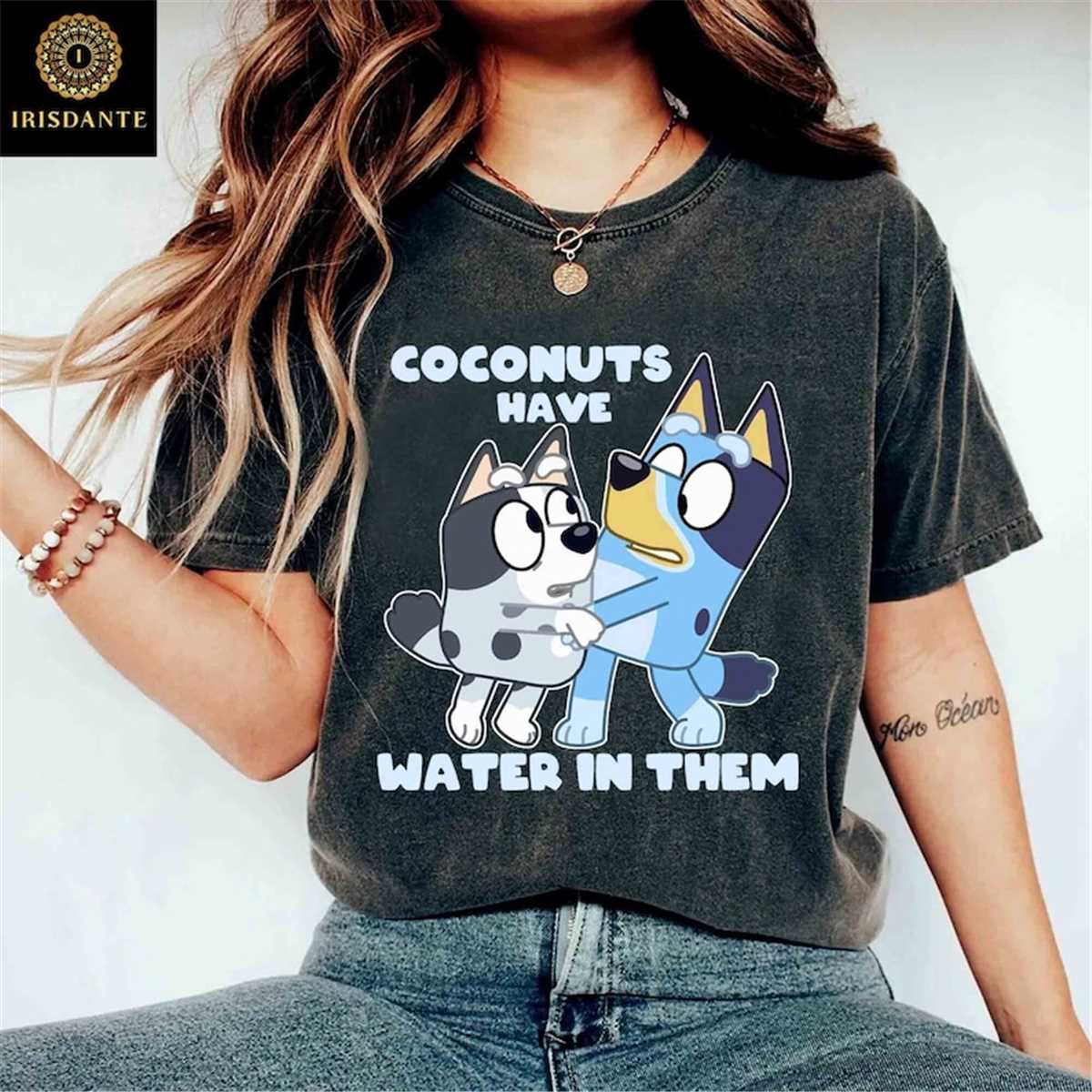 Bluey and Muffin Coconuts Have Water in Them in Them Comfort Inspire