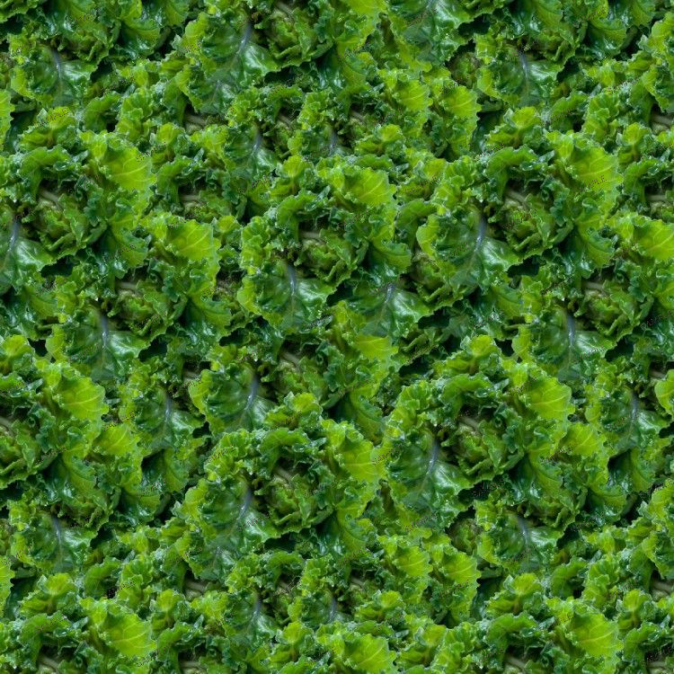 Kale 22 Seamless Tileable Repeating Pattern | Inspire Uplift
