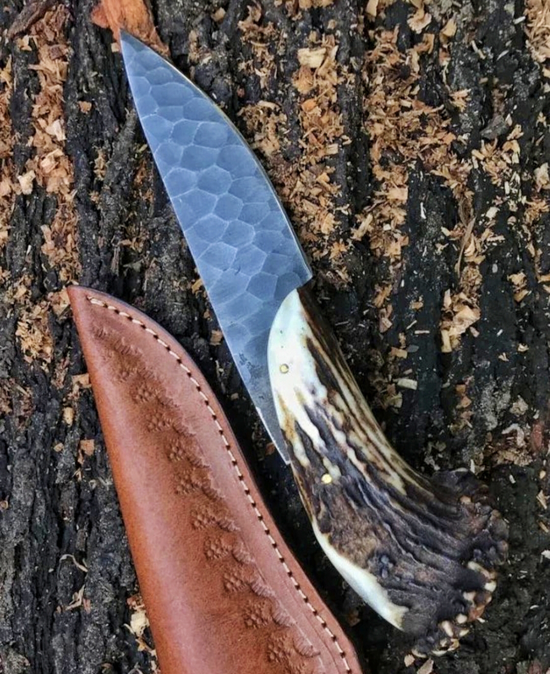 Limited Edition Winter Custom Western Knife – D2 Steel & Pine Cone Handle main image 0