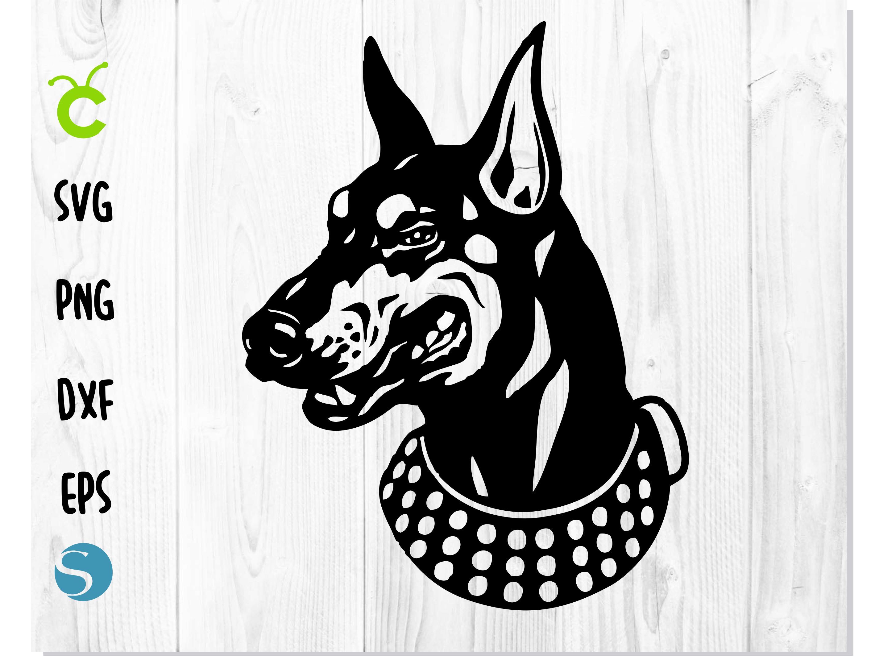 DOBERMAN INC. never lose yourself 直筆サイン入 DOBERMAN INFINITY 直筆サイン入りチェキ 希少 - メルカリ