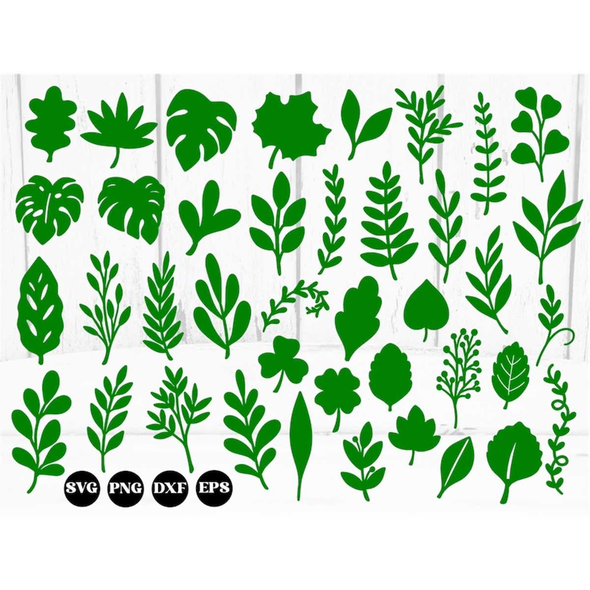 40 leaves svg, leaf svg, paper flower leaves svg, tropical l Inspire