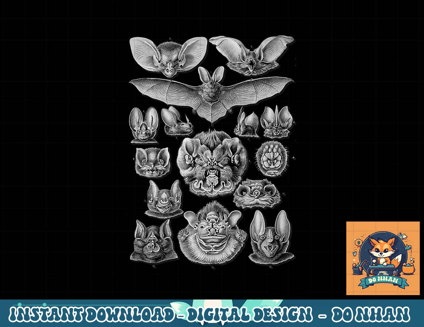 Bats Scientific Illustration Drawing Biology Art Halloween p Inspire Uplift