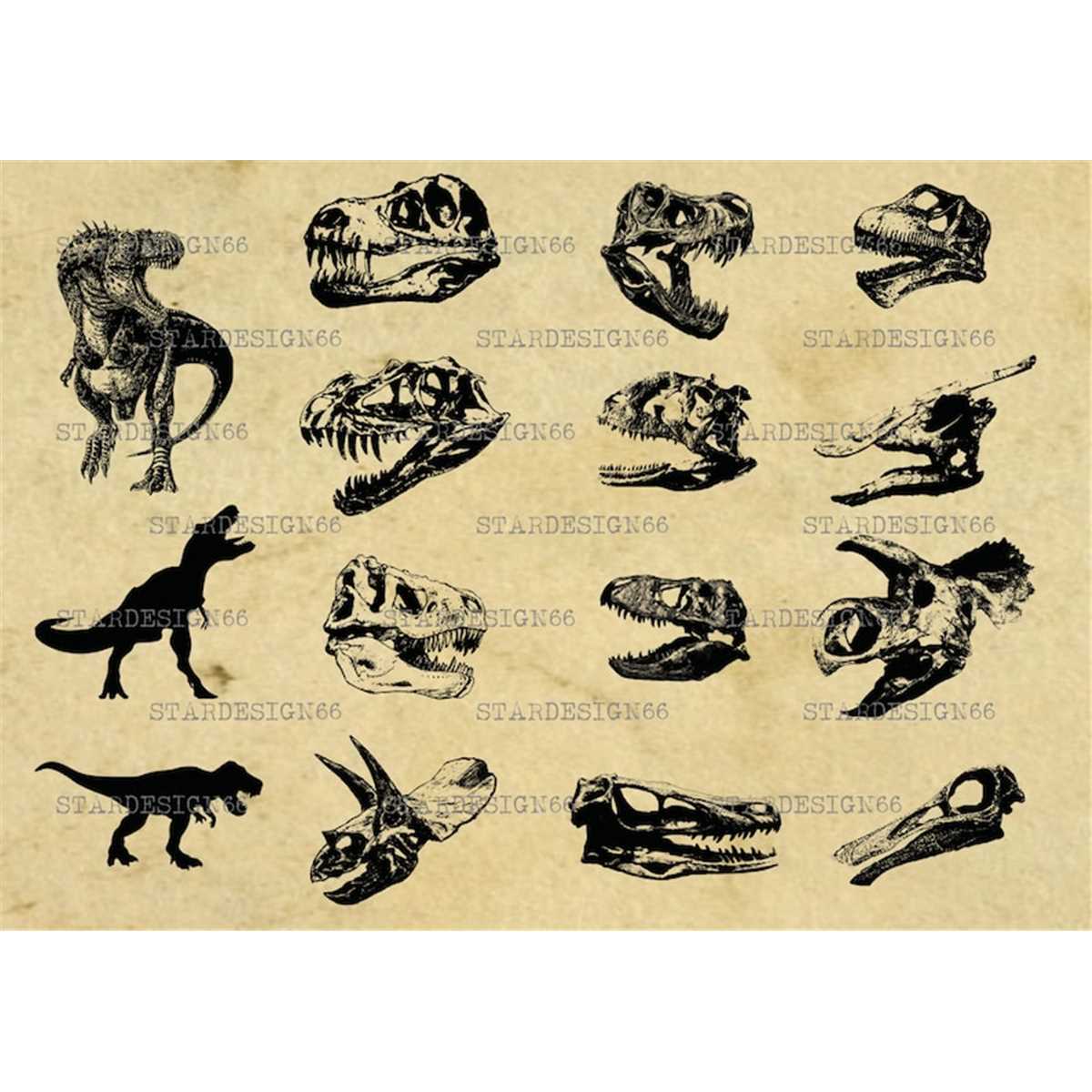 Digital SVG PNG JPG Dinosaur with skeleton, t-rex and skull, - Inspire