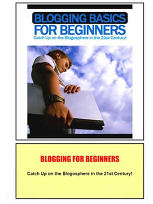 Blogging basics for beginners image