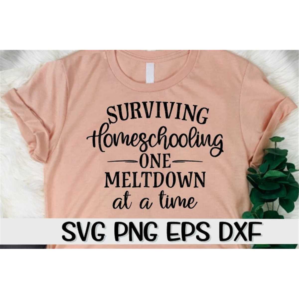 Surviving Homeschooling One Meltdown At A Time, Surviving Sv | Inspire ...