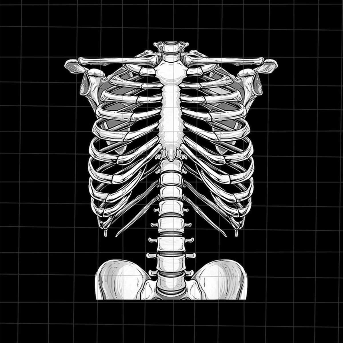 Skeleton Rib Cage Halloween Png, Skeletons Halloween Png, Sk | Inspire ...