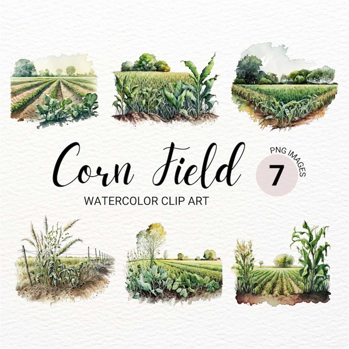 Corn Field Clipart Farm Landscape Watercolor Corn Field Inspire