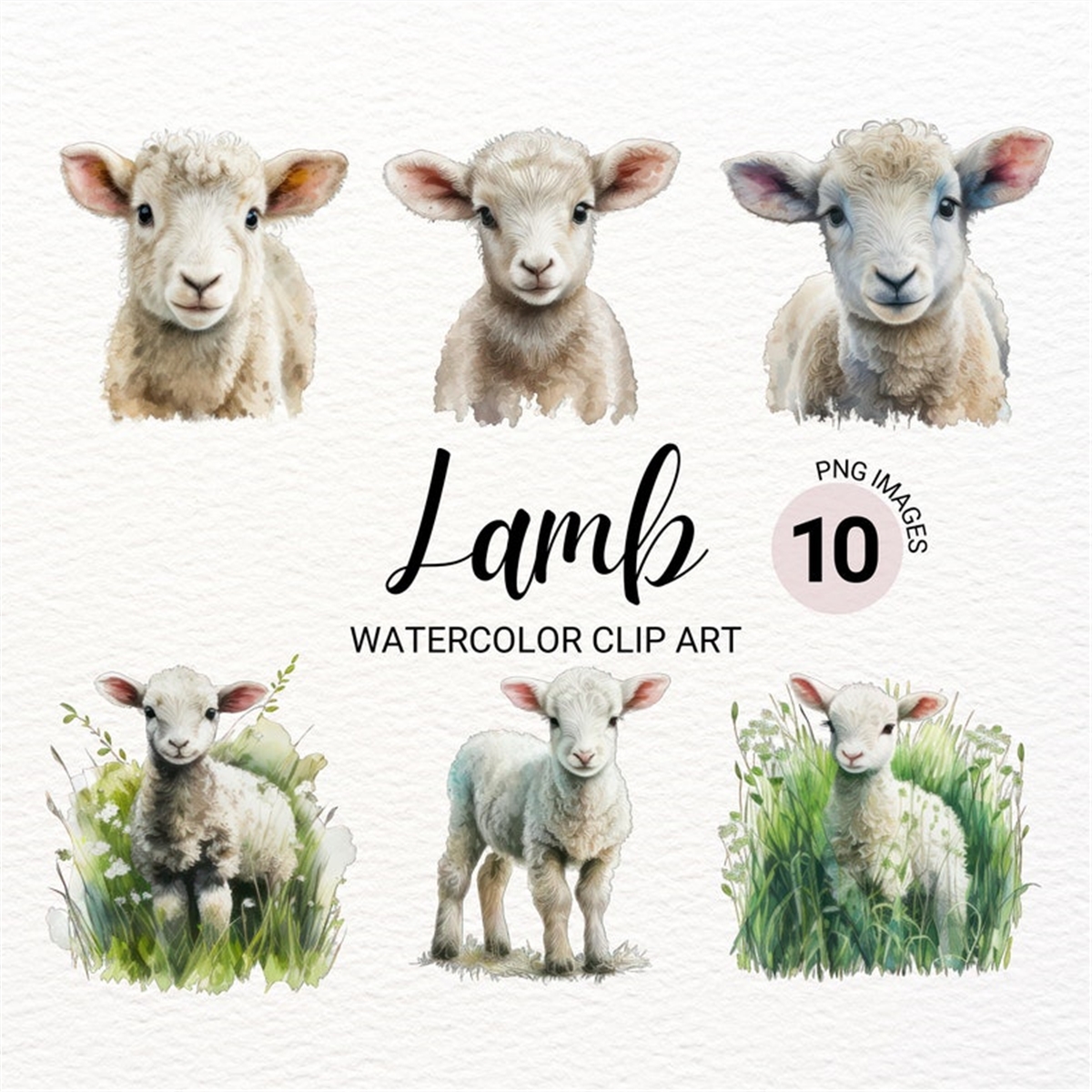Baby Lamb Clipart Lamb PNG Baby Animals Farm Animals P Inspire