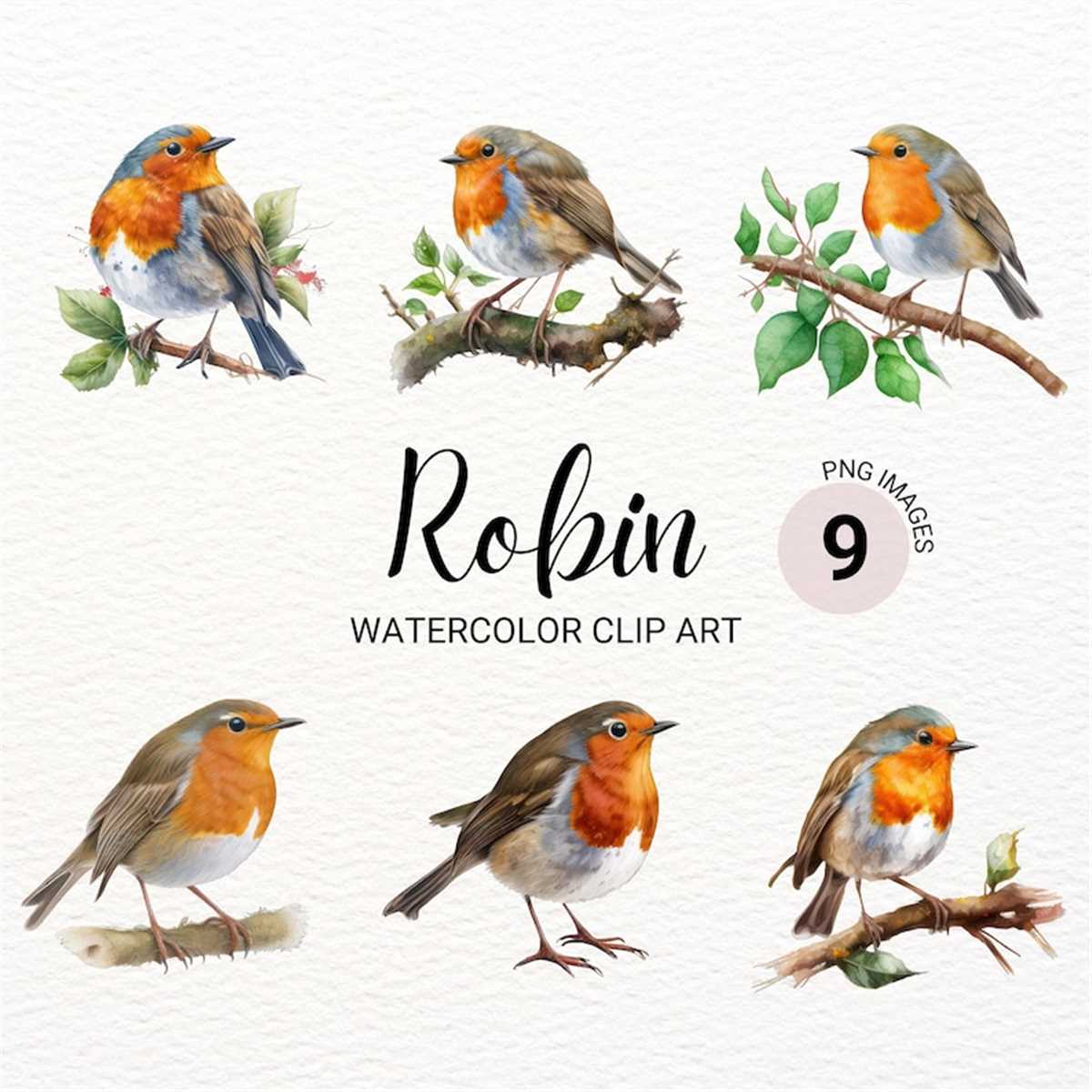 Robin Bird Clipart | Robin Bird PNG | Watercolor Bird Clipar - Inspire ...