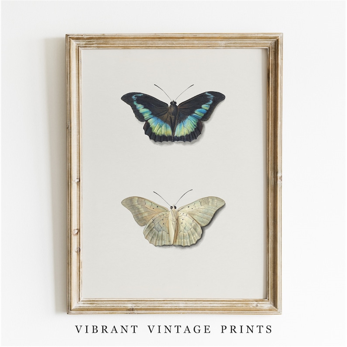 Butterfly Wall Art | Vintage Wall Art | Butterflies Print | - Inspire ...