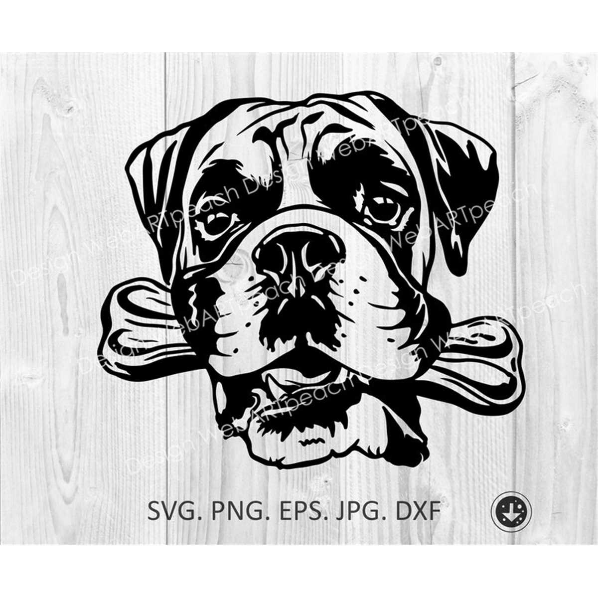Boxer svg, Peeking Boxer Dog breed, Boxer with bone teeth, C Inspire