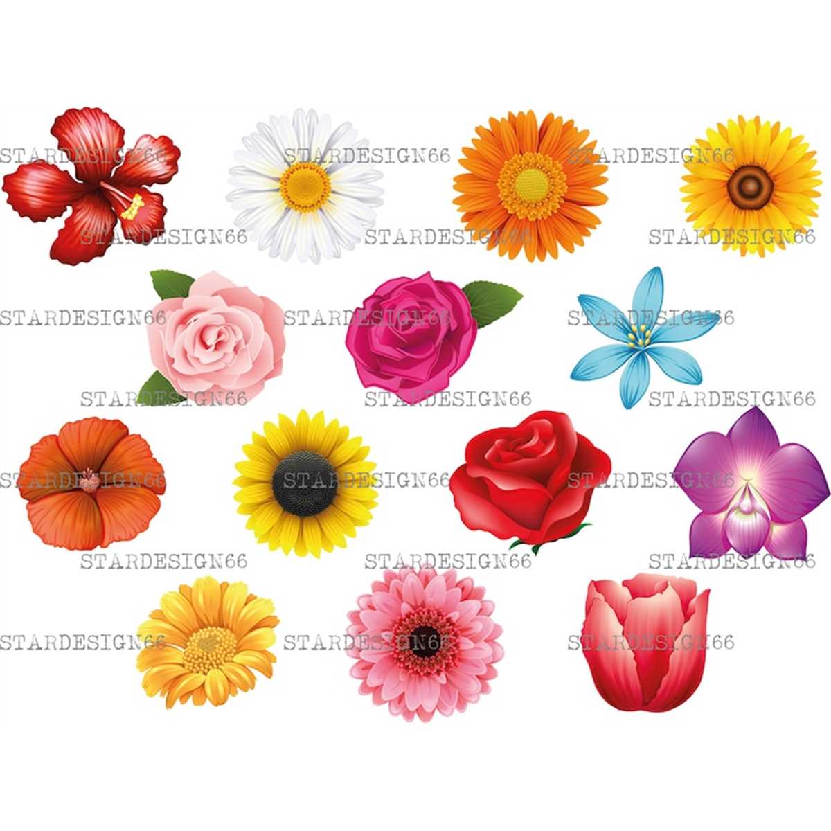 Digital EPS PNG JPG Flowers, roses, sunflower, lotus, daisy, | Inspire ...