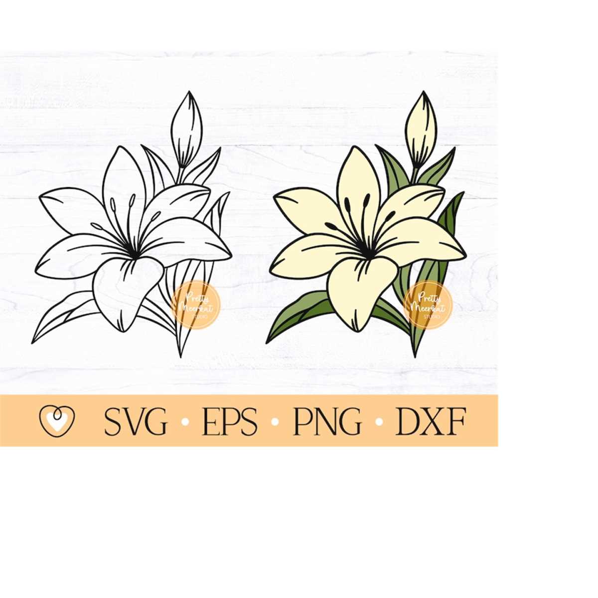 Lily svg, Lily Flower svg, Lily Cut File Inspire Uplift
