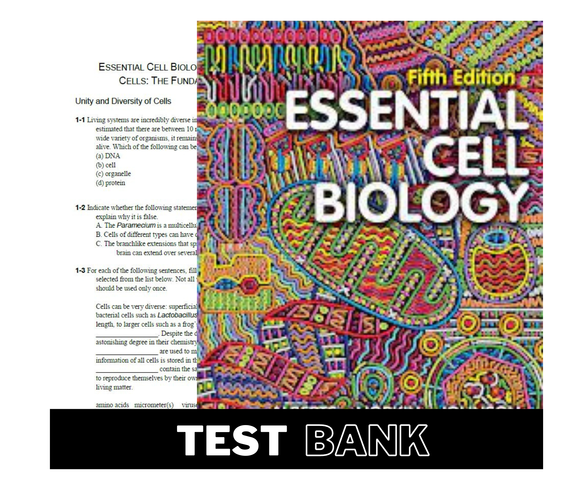 Test Bank for Essential Cell Biology 5th Edition Alberts Hop