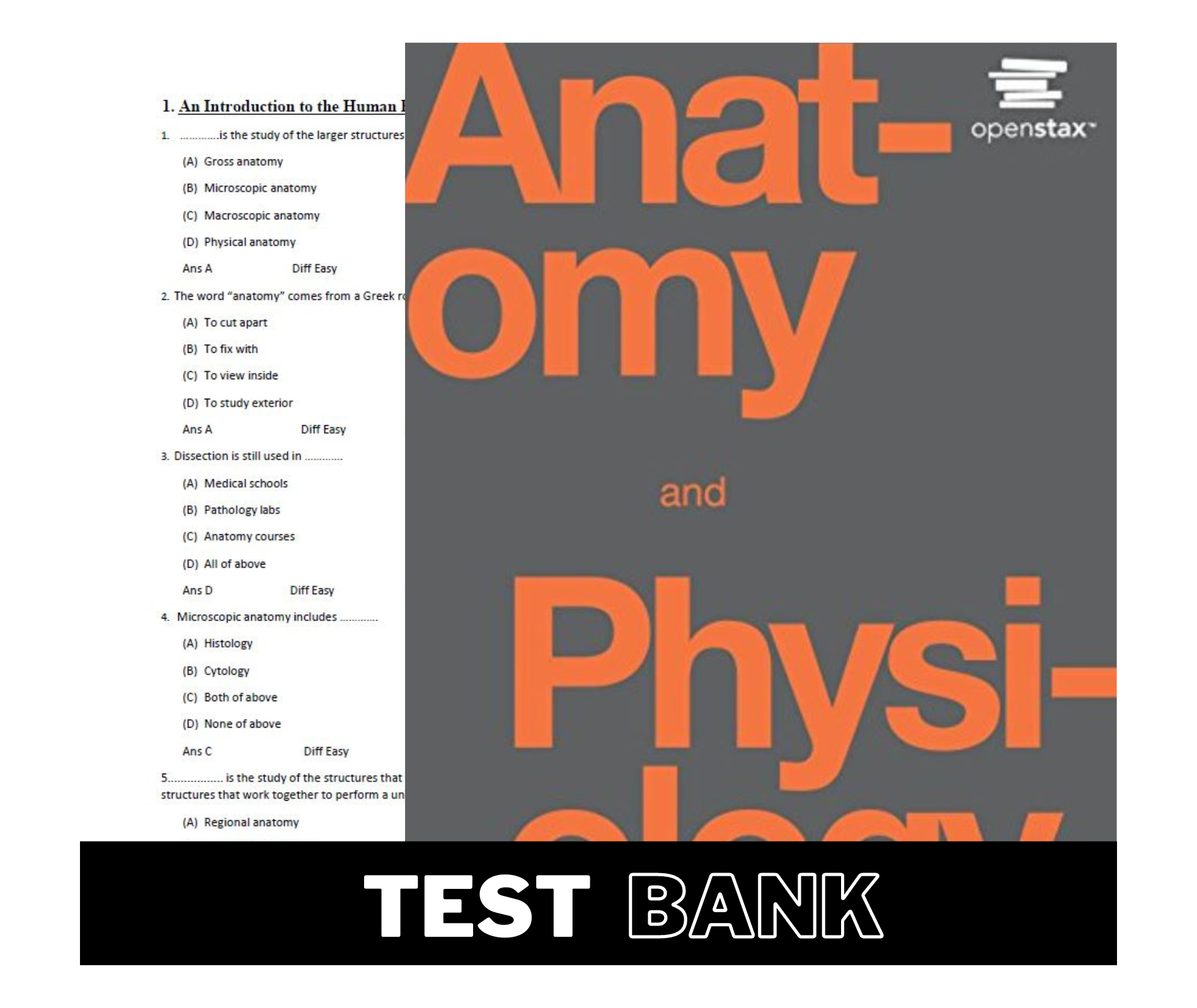 Test Bank For Anatomy And Physiology Openstax Pdf File – BQCL