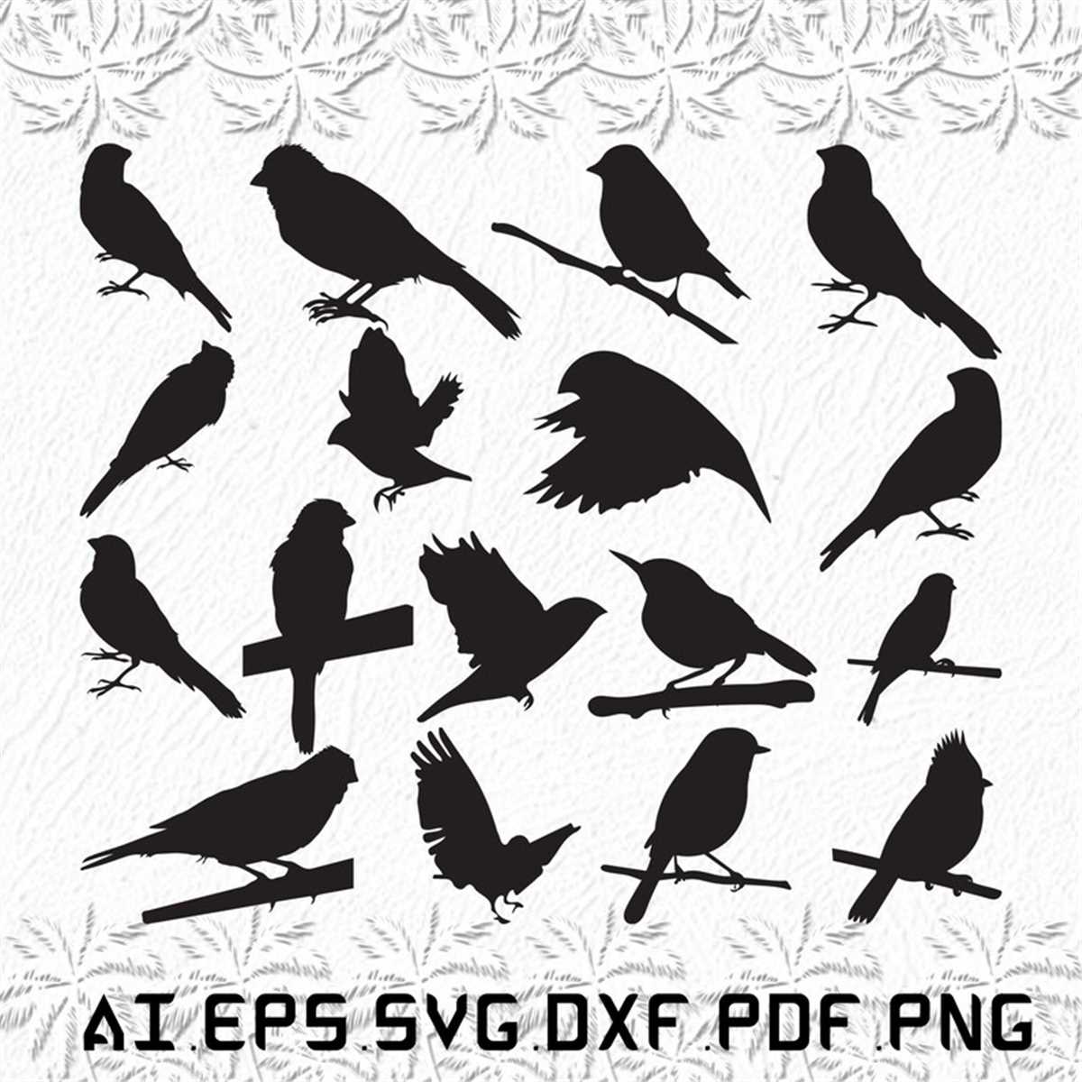 Canary svg, Canarys svg, Arrow svg, Bird, dc, SVG, ai, pdf, - Inspire ...