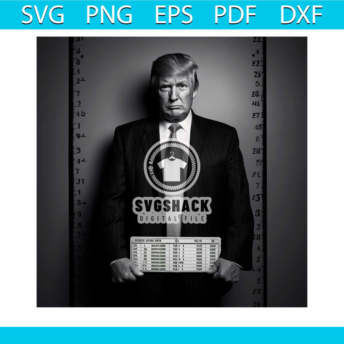 Mugshot of Donald Trump PNG Not Guilty PNG Download - Inspire Uplift