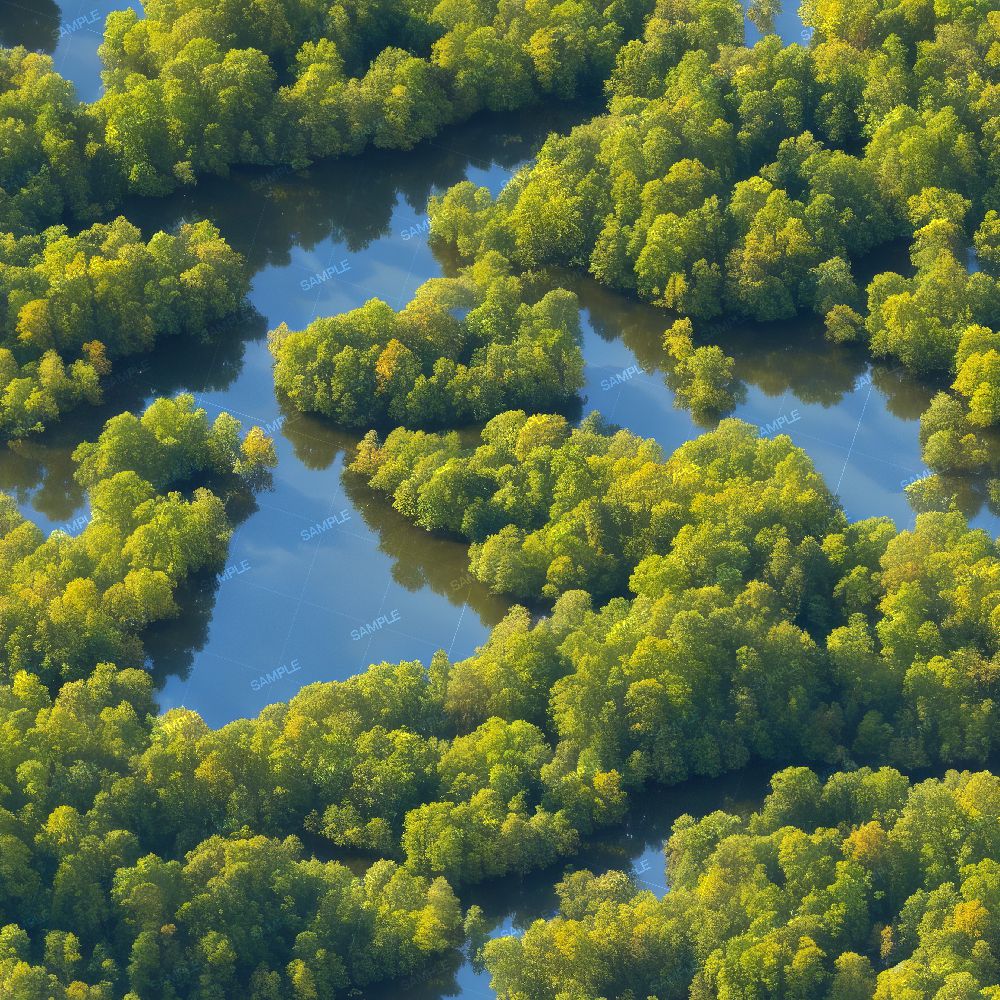 Lake Country Pattern Tileable Repeating Pattern - Inspire Uplift