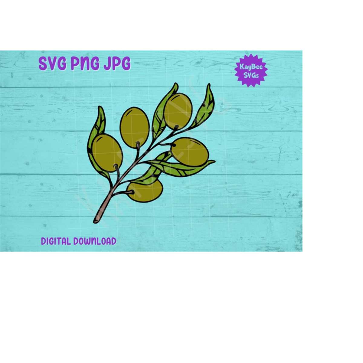 Olive Branch SVG PNG JPG Clipart Digital Cut File Download f | Inspire ...