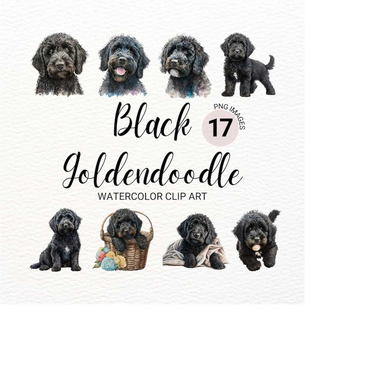 Black Labradoodle Clipart | Dog PNG | Black Goldendoodle | B | Inspire ...