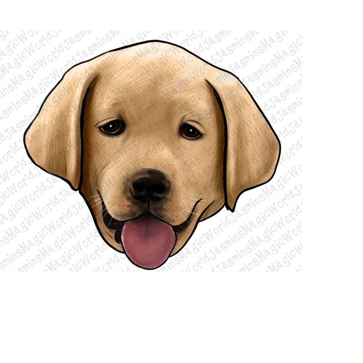 Hand Drawn Labrador Head PNG Sublimation Design, Hand Drawn - Inspire ...