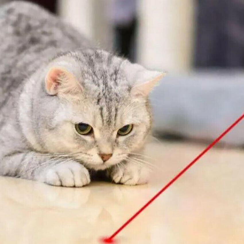 Rechargeable Laser Pointer Cat Toy UV Flashlight