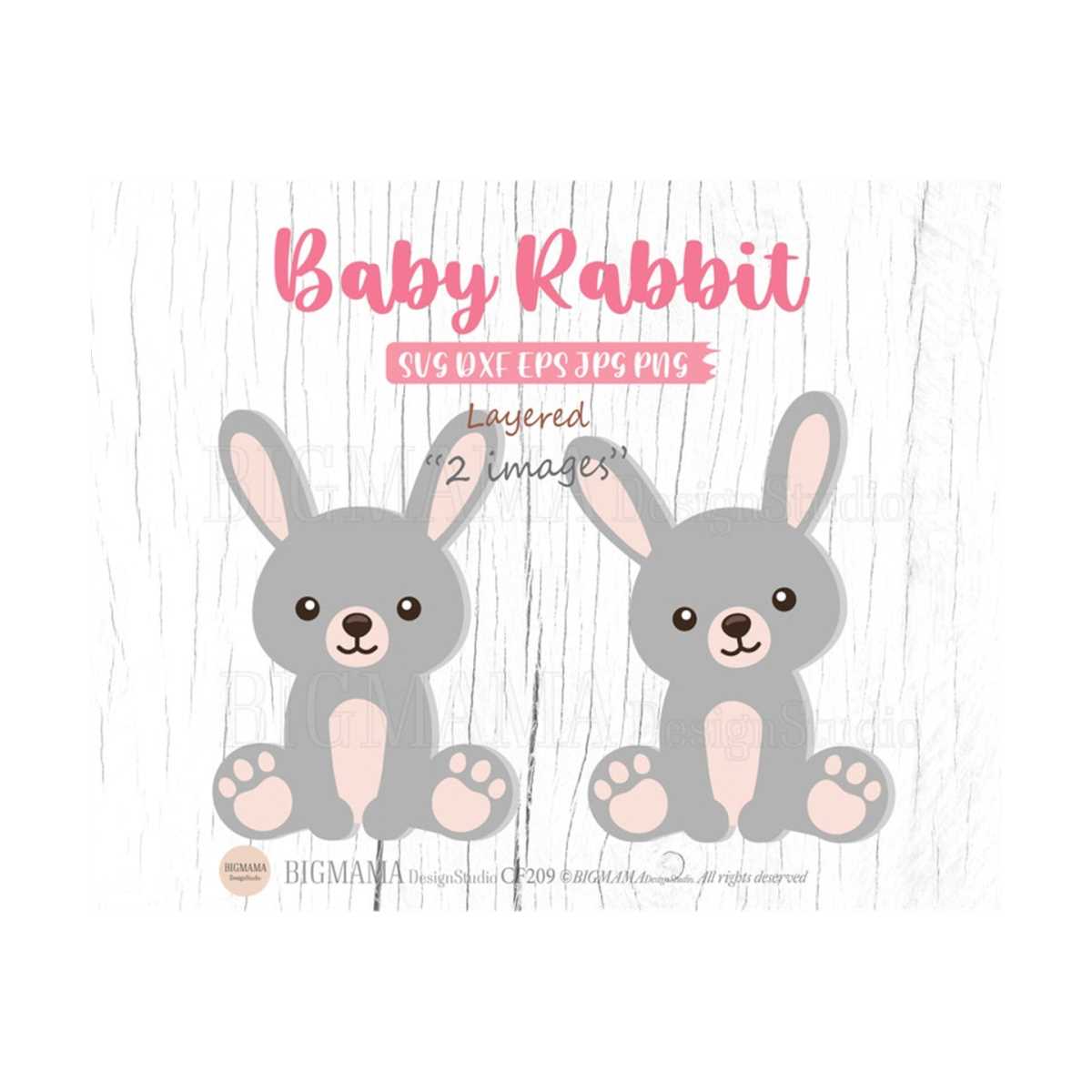 Baby Rabbit SVG,Woodland Animals,Nursery,Rabbit Svg File,Vin | Inspire ...