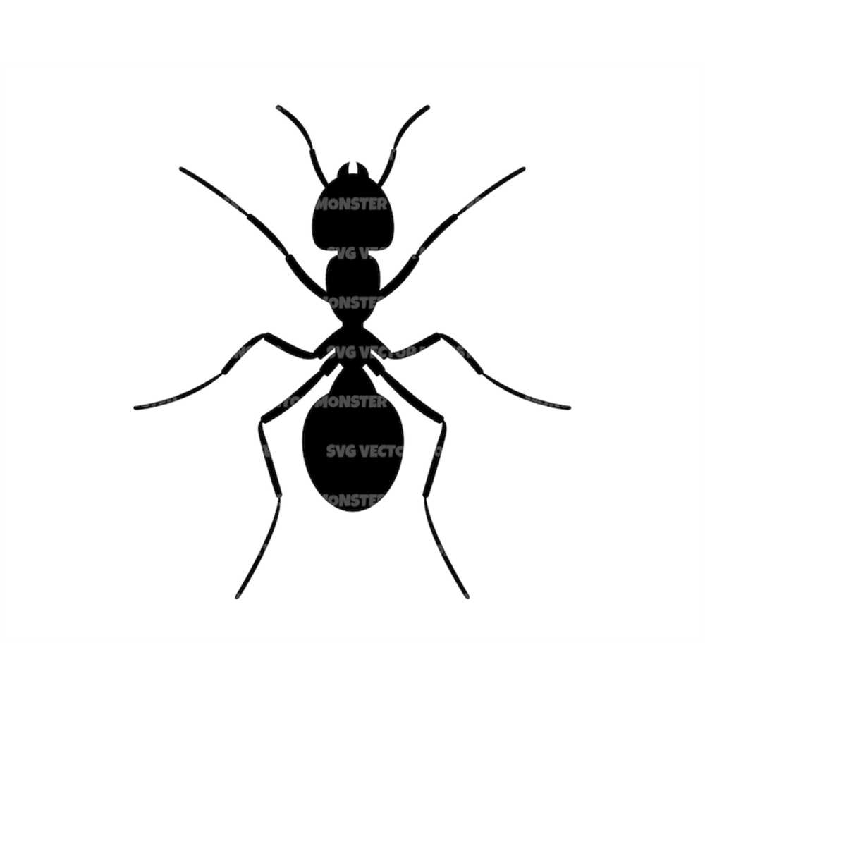 Ant Svg, Bug Svg, Insect Svg. Vector Cut file for Cricut, Si - Inspire ...