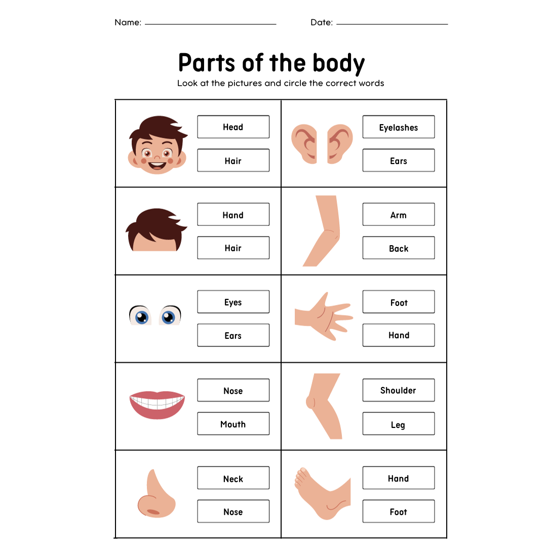 White Colorful Parts Of The Body Worksheet Digit PDF - Inspire Uplift