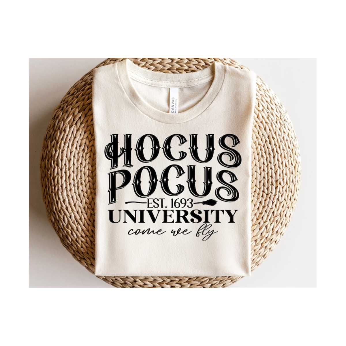 Pull Hocus Pocus Sanderson Sisters - Sweat-shirt Film Halloween, Pour Femmes, Enfants, Adultes - 3