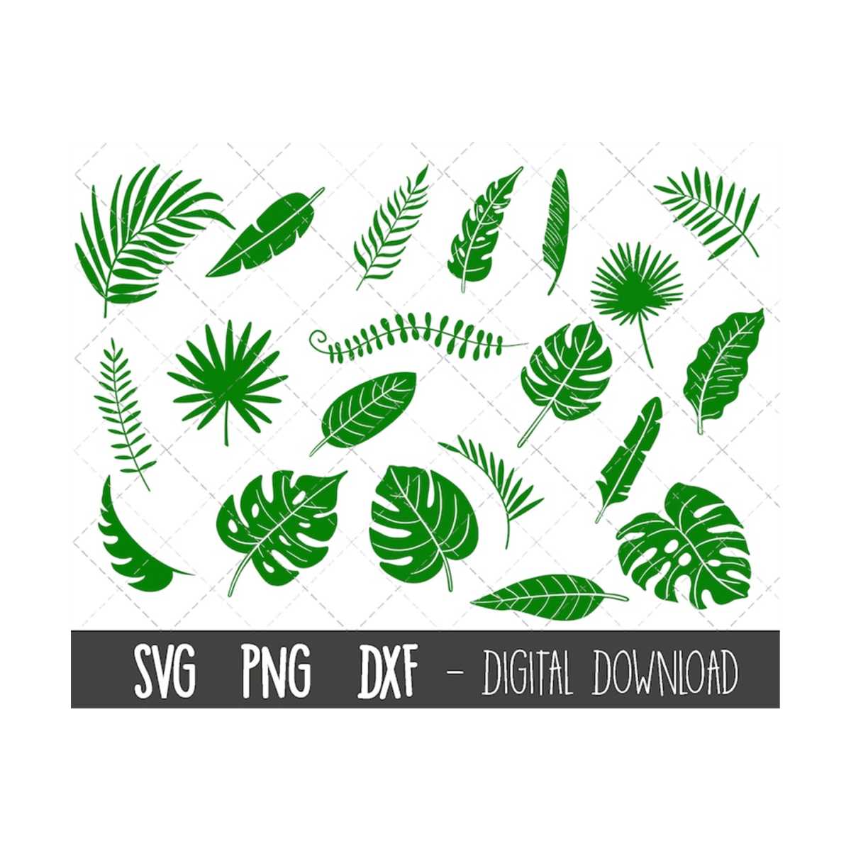 Tropical leaves SVG bundle, monstera leaf svg clipart, jungl | Inspire ...