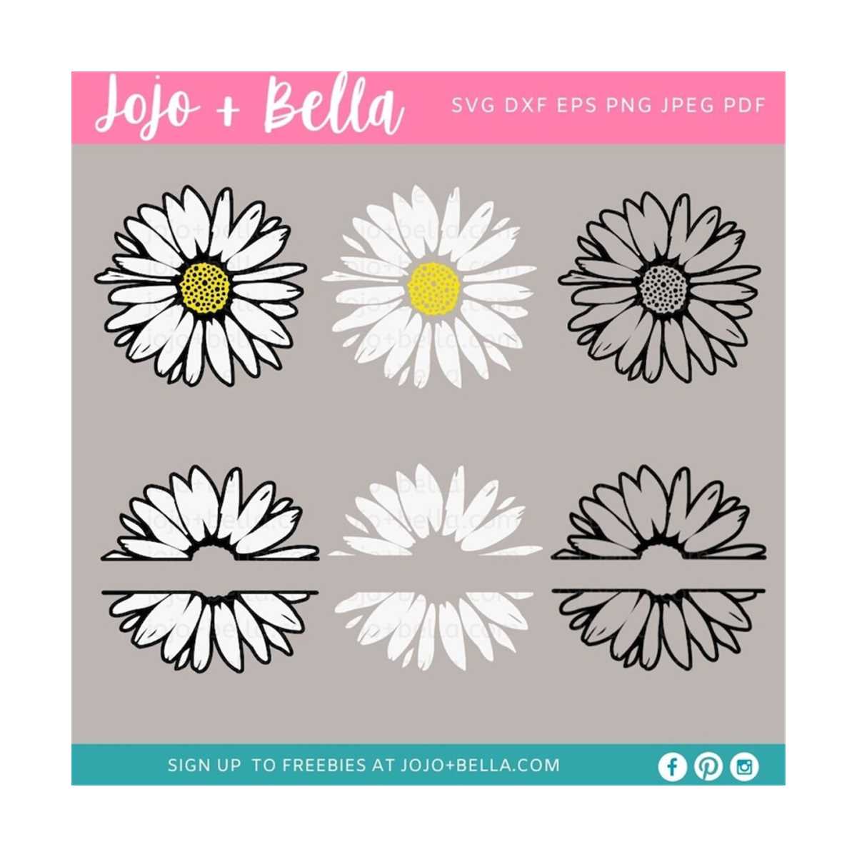 Split Monogram Daisy Daisy Svg, Daisy Svg Bundle, Daisy Split Monogram Svg, Daisy | Inspire ...