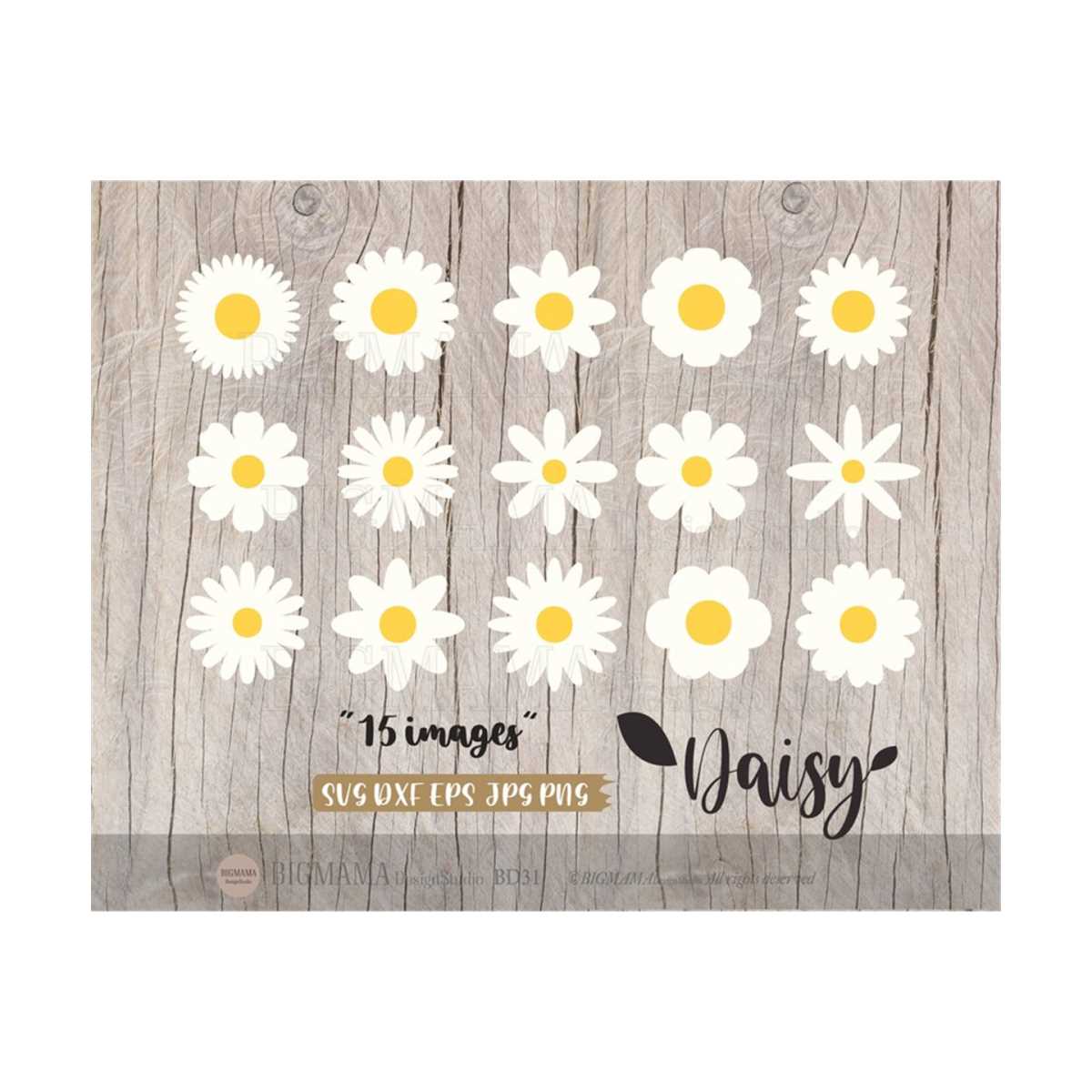 Daisy SVG Bundle,Cut File,Layered,Spring,Wildlife Flower,Flo | Inspire ...