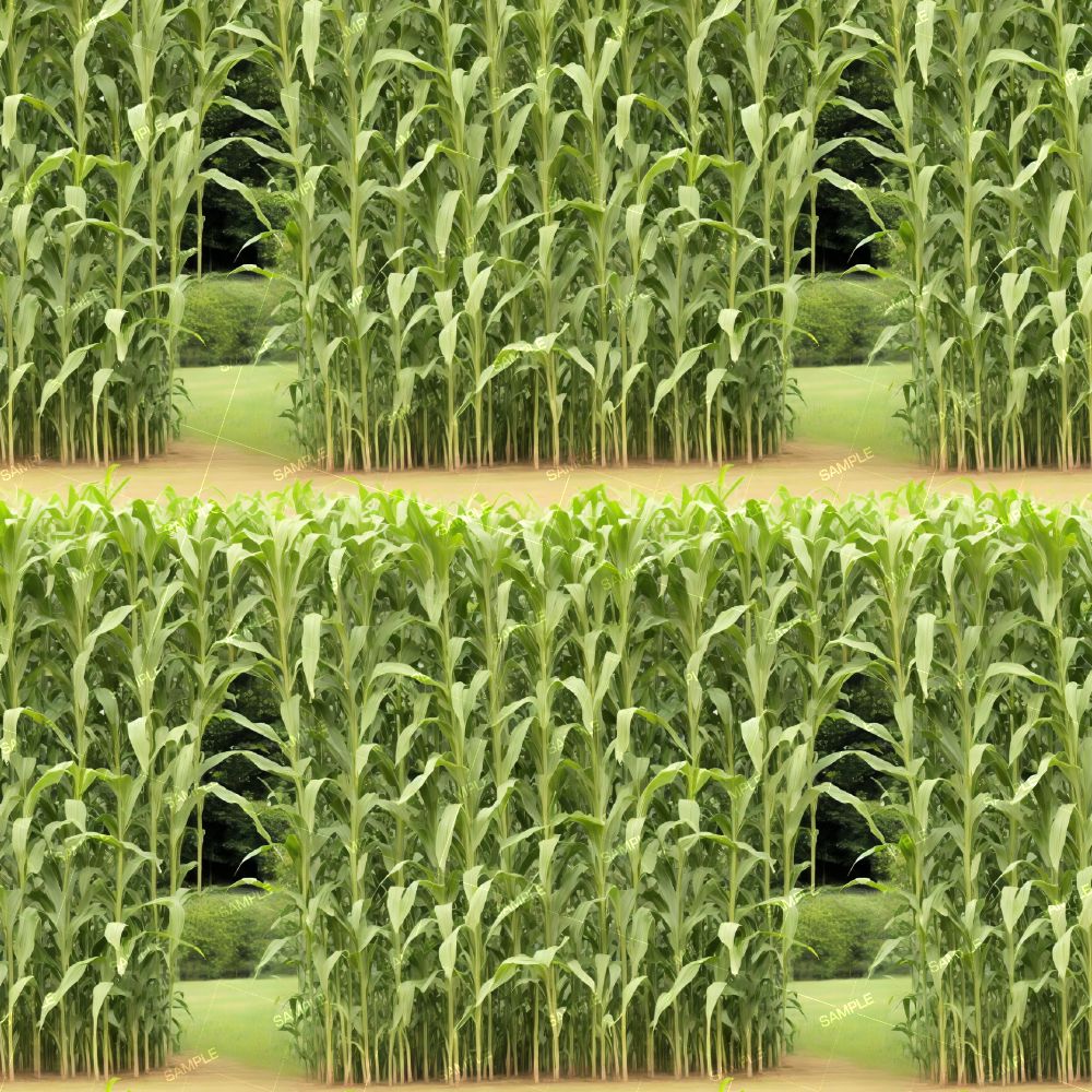 Corn Maze 42 Pattern Tileable Repeating Pattern | Inspire Uplift