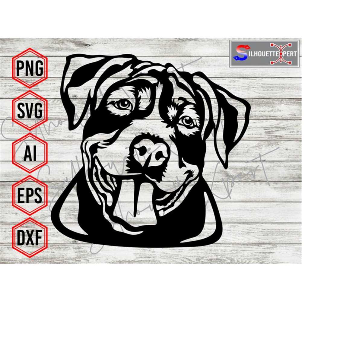 American Pitbull svg, Pitbull Face svg, American Bully svg, - Inspire